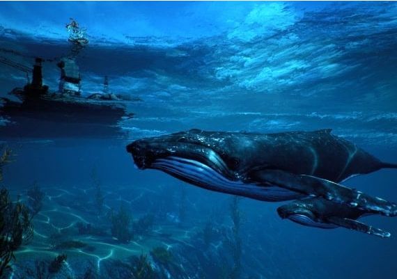 Maneater Global Epic Games Digital Key