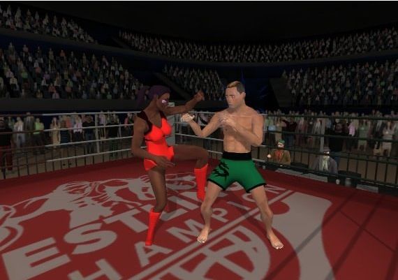 Wrestlers Without Boundaries EN/DE/PT/RU/ZH Global Steam Digital Key