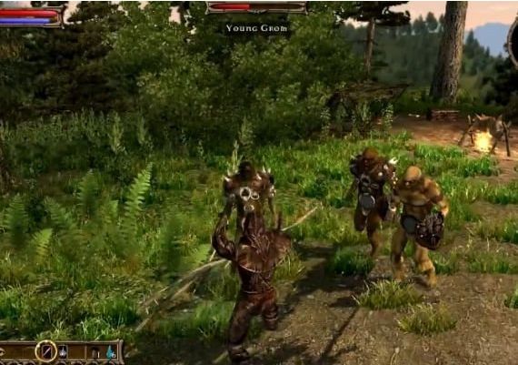 Two Worlds - Collection EN Global Steam Digital Key