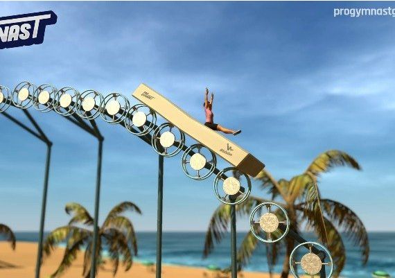 Pro Gymnast Global Steam Digital Key