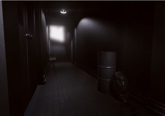 One Wish EN/RU Global Steam Digital Key