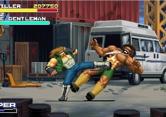 Final Vendetta Global Steam Digital Key