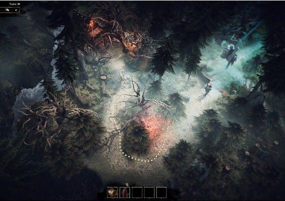 Tainted Grail: The Fall of Avalon EN Global Steam Digital Key