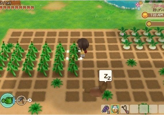 Story of Seasons: Friends of Mineral Town EN/DE/FR/JA/KO/ZH/ES/ZH Turkey Xbox One/Series Digital Key