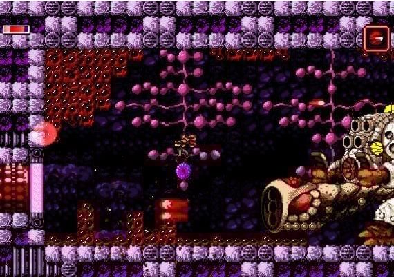 Axiom Verge EN/DE/FR/IT/JA/PT/RU/ES Argentina Xbox One/Series Digital Key