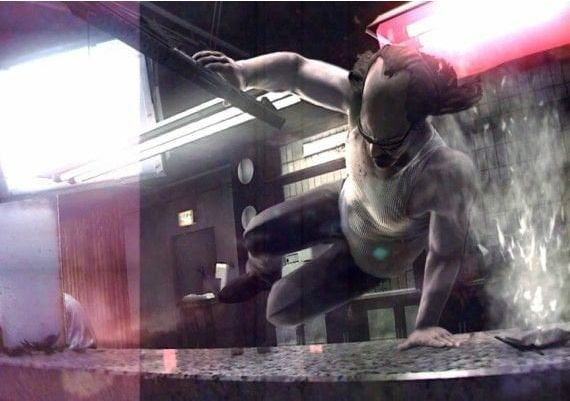 Kane and Lynch 2: Dog Days EN Russia Steam Digital Key