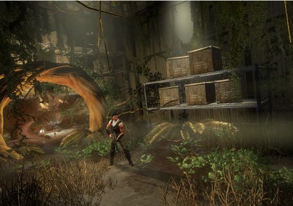 Secret World Legends - Dawn of the Morninglight DLC Collector's Edition EN/DE/FR Global Steam Digital Key