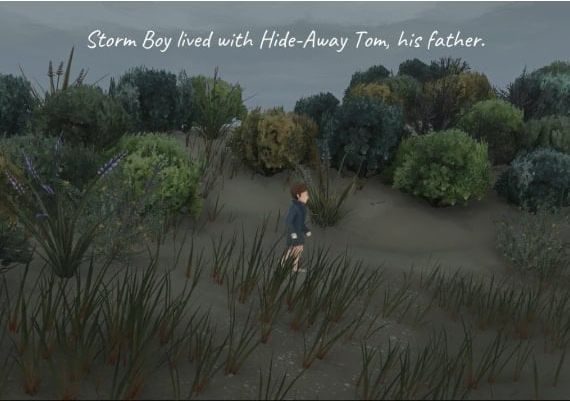 Storm Boy EN/DE/FR/RU/ES Argentina Xbox One/Series Digital Key