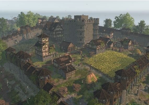 Life is Feudal: Forest Village EU Steam Digital Key