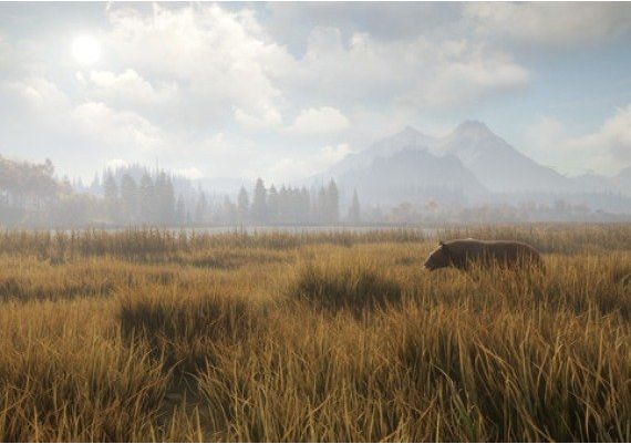 theHunter: Call of the Wild - Diamond Bundle Argentina Xbox One/Series Digital Key