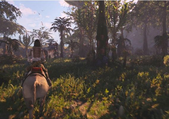 Towers of Aghasba PRE-ORDER Global Steam Digital Key