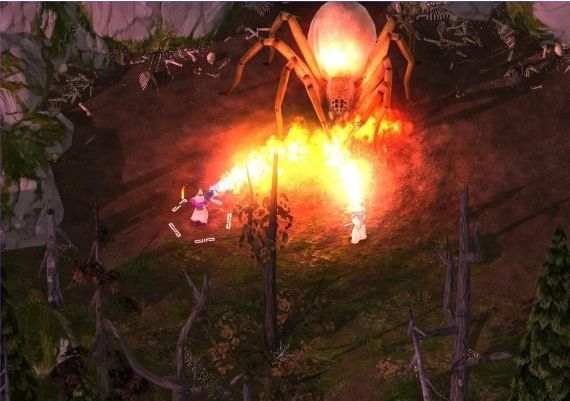 Magicka - Gamer Bundle DLC EN/RU Global Steam Digital Key