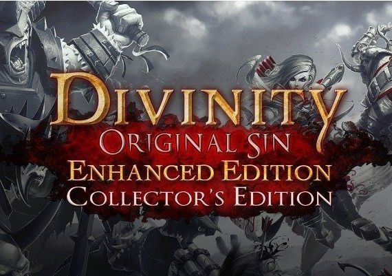 Divinity: Original Sin Enhanced Collector's Edition EN/DE/FR/IT/PL/CS/RU Global GOG Digital Key