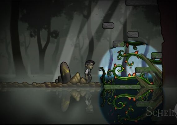 Schein EN/DE/FR/ES Global Steam Digital Key