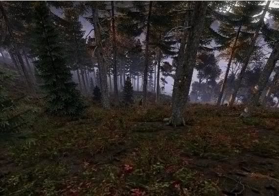 DayZ EN EU PS4 Digital Key