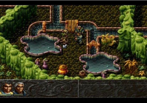 Albion EN/DE/FR Global GOG Digital Key