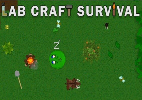 Lab Craft Survival EN/RU Global Steam Digital Key