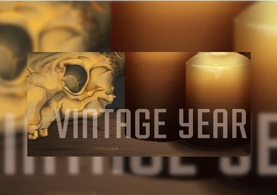 Vintage Year EN/DE/FR/IT/ES/DA Global Steam Digital Key