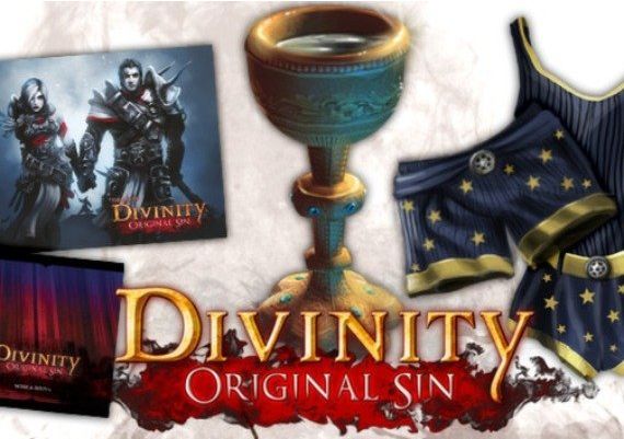 Divinity: Original Sin - Source Hunter DLC EN/DE/FR/IT/PL/CS/RU Global Steam Digital Key