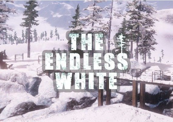 The Endless White EN/DE/FR/IT/ES Global Steam Digital Key