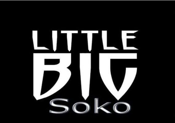LittleBigSoko EN Global Steam Digital Key