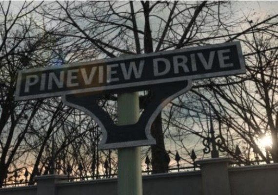 Pineview Drive Global Steam Digital Key