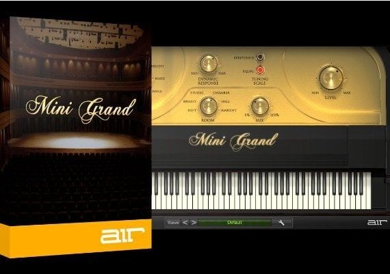 AIR Mini Grand EN Global Software License Digital Key