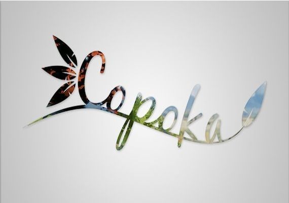 Copoka EN Global Steam Digital Key