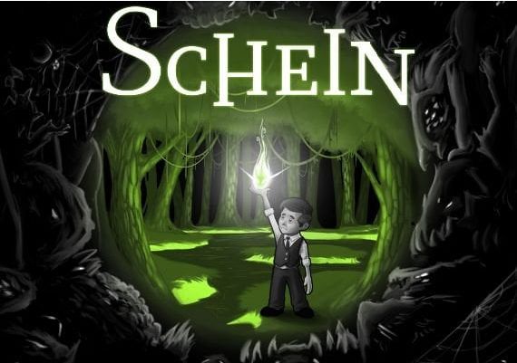 Schein EN/DE/FR/ES Global Steam Digital Key