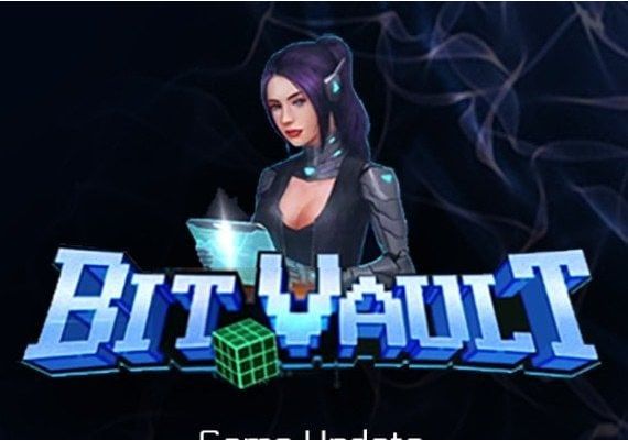 BitVault EN Global Steam Digital Key