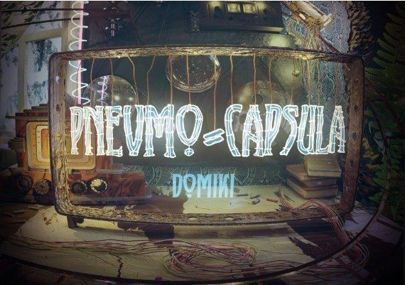 Pnevmo-Capsula: Domiki Global Steam Digital Key