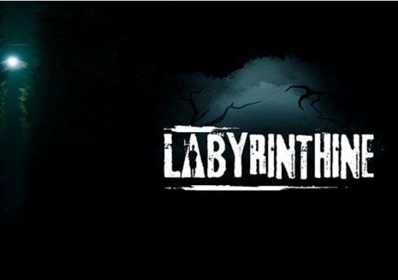 Labyrinthine EN/DE/FR/NL EU Steam Digital Key