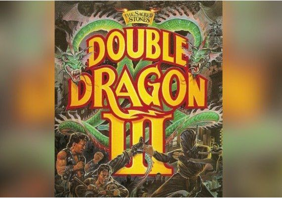 Double Dragon III: The Sacred Stones EN Argentina Xbox One/Series Digital Key
