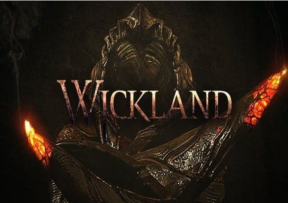 Wickland EN Global Steam Digital Key