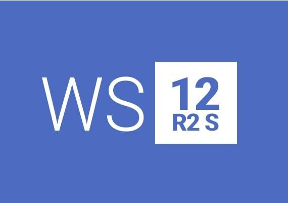 Windows Server 2012 R2 Standard EN/DE/FR/IT/JA/RU/ZH/ES Global MS Products Digital Key